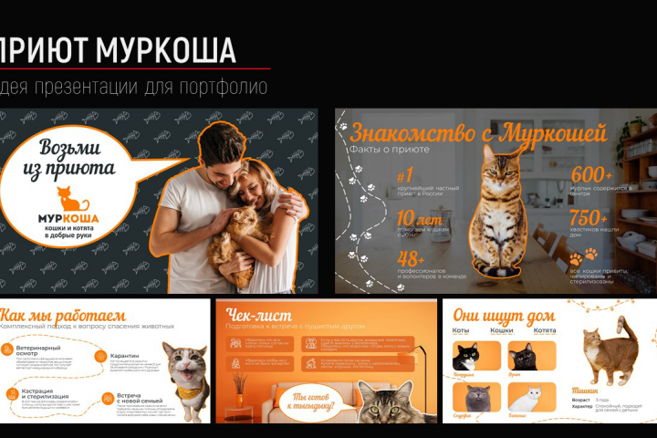 Муркоша - приют для кошек