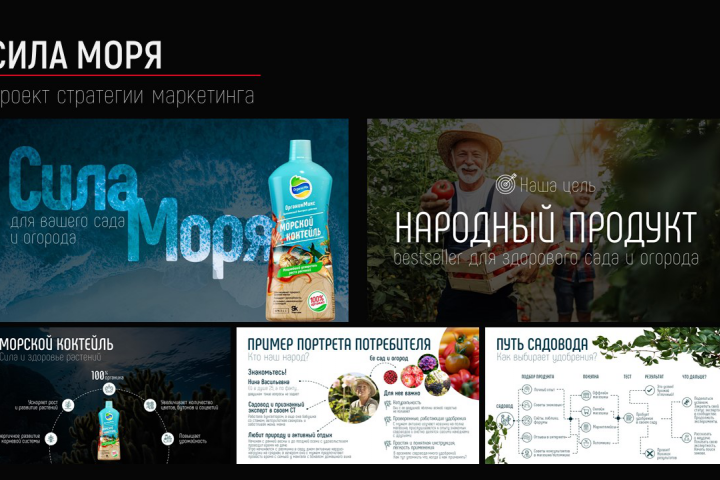 Сила Моря