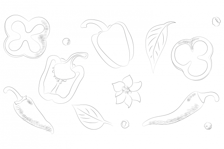 Скетч_перец