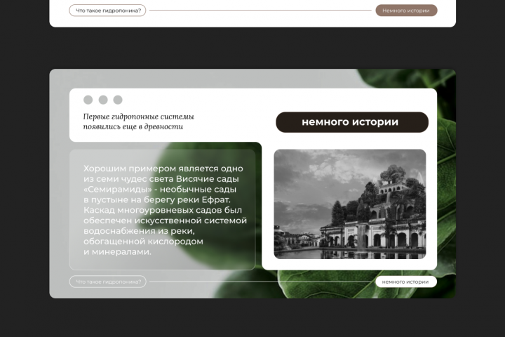 Презентация учебного проекта