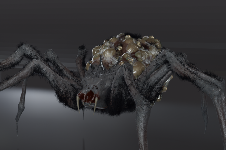 3D Модель паучихи