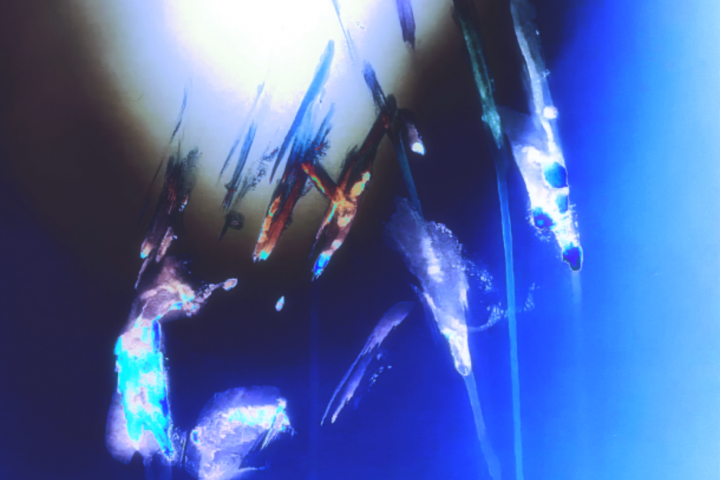 Полностью спродюсированный трек