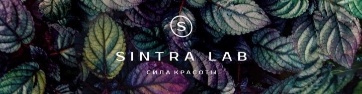 Шапка профиля