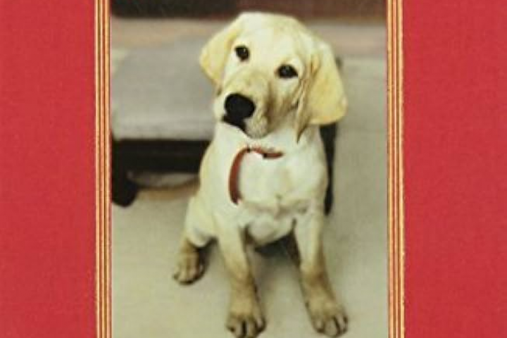 Частичный перевод книги "Марли и Я" Джон Гроган