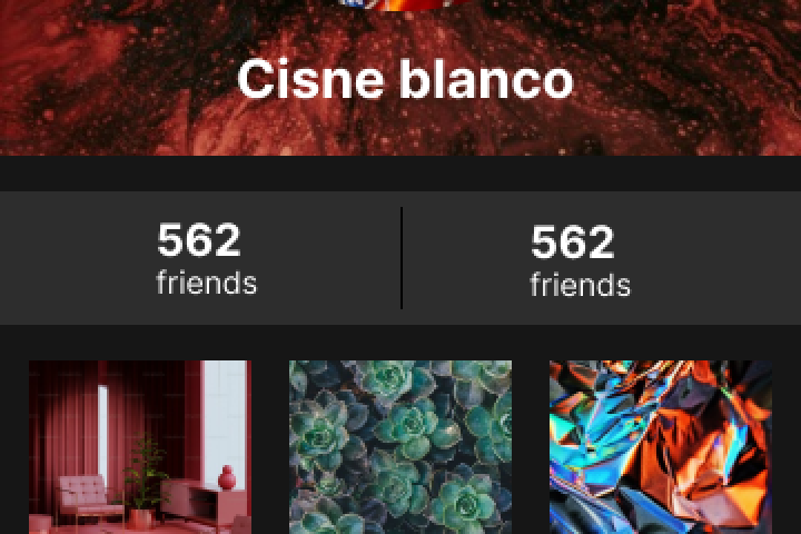 Фрагмент профиля