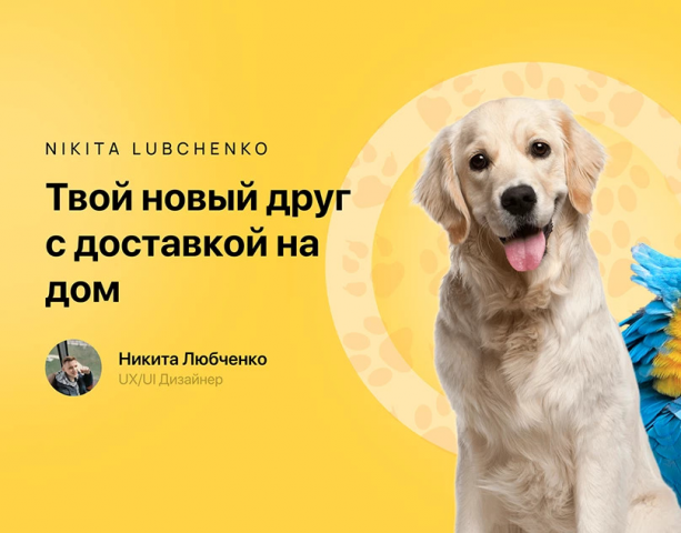 Дизайн сайта для приюта животных