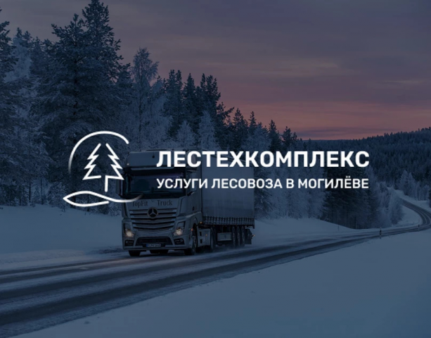 Дизайн сайта для ЛесТехКомлекс