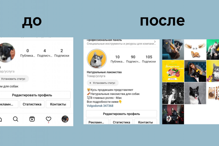 Магазин сабачих лакомств