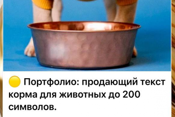 Продающий текст