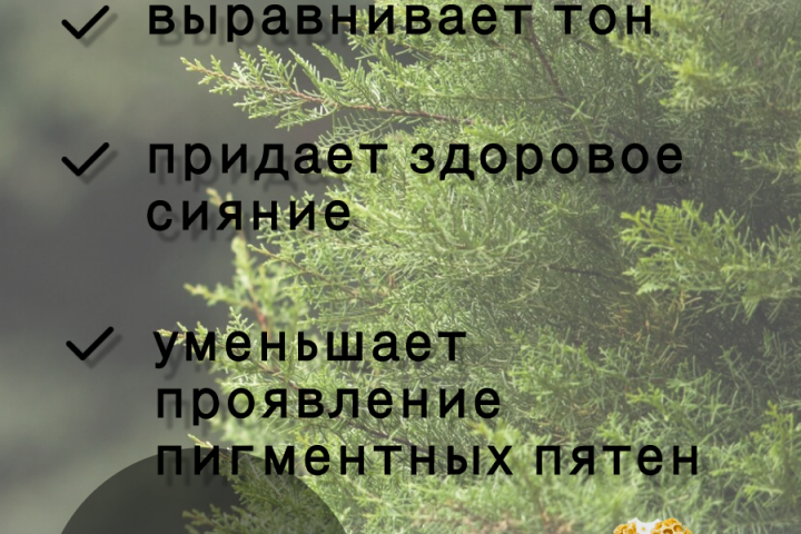 Инфографика для маркетплейсов