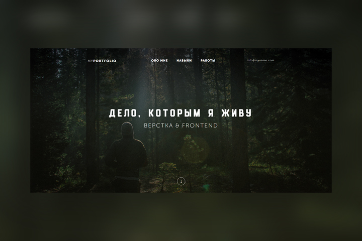Портфолио