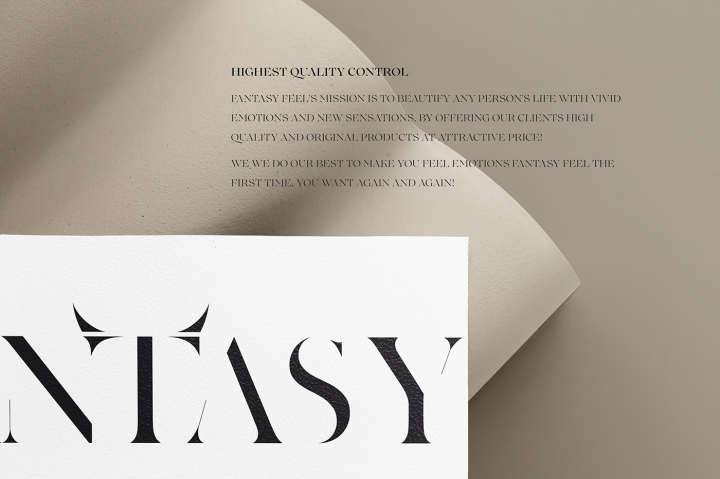 Fantasy feel logo