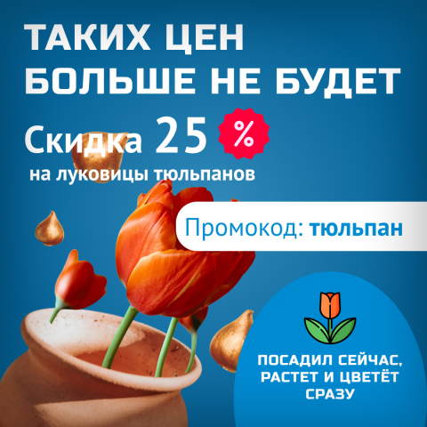 Рекламная акция