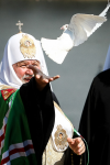 Работа 1853307