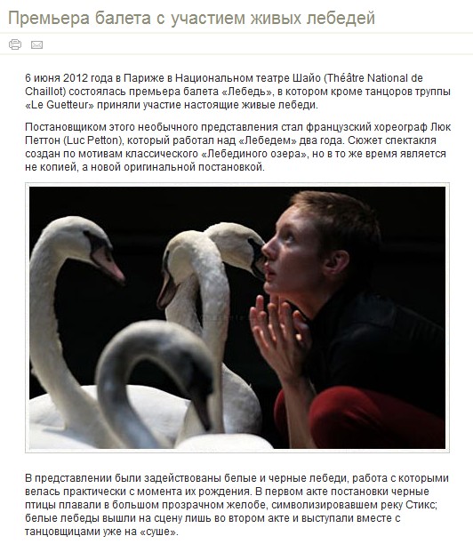 Премьера балета с участием живых лебедей_Новость.jpg