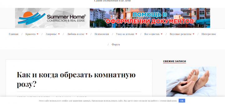 Как и когда обрезать комнатную розу