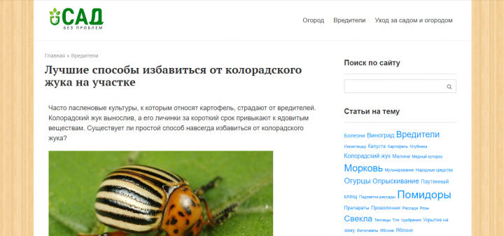 Лучшие способы избавиться от колорадского жука на участке