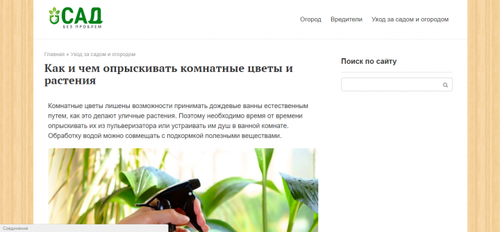 Как и чем опрыскивать комнатные цветы и растения