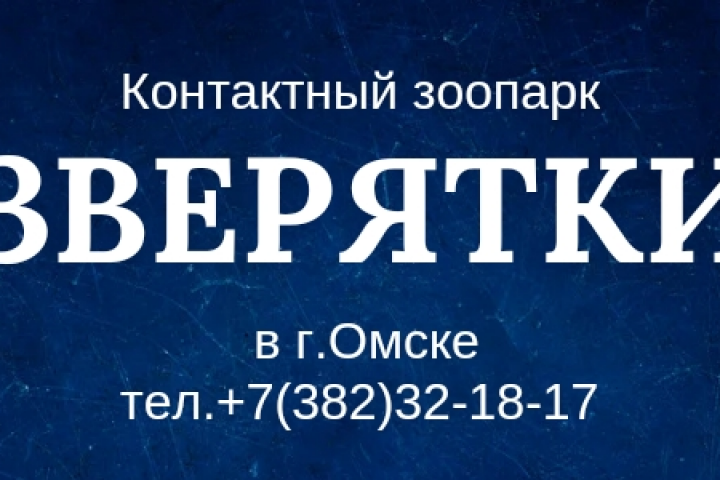 Контактный зоопарк