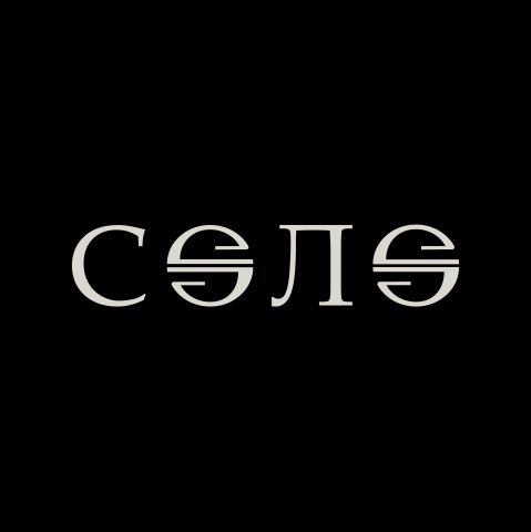 Продюсерское агенство "Соло"