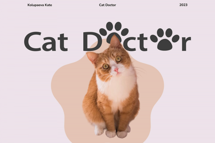 Cat Doctor | Дизайн сайта