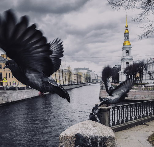 Работа 4117815