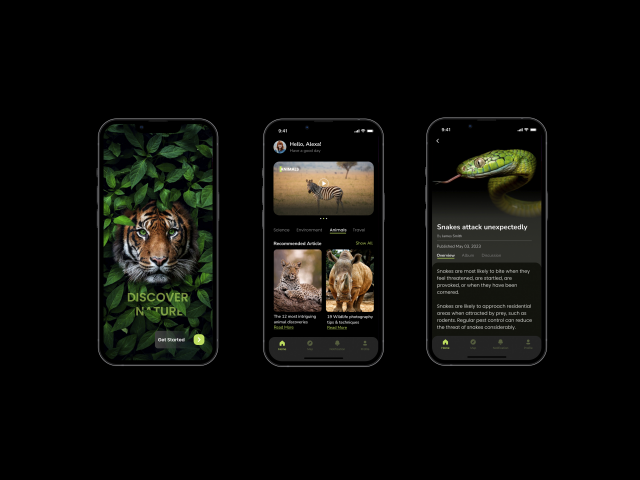 Wild Travel - Mobile App