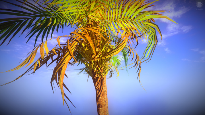 #NVJOB STC8 Toon (Advanced Toon Shader for Unity SpeedTree 8)