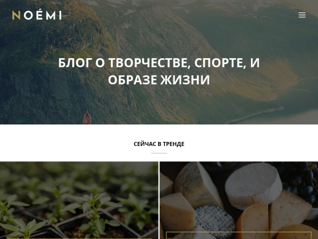 Адаптивная вёрстка сайта