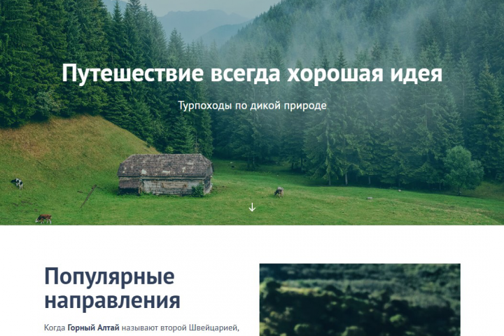 Forest Travel