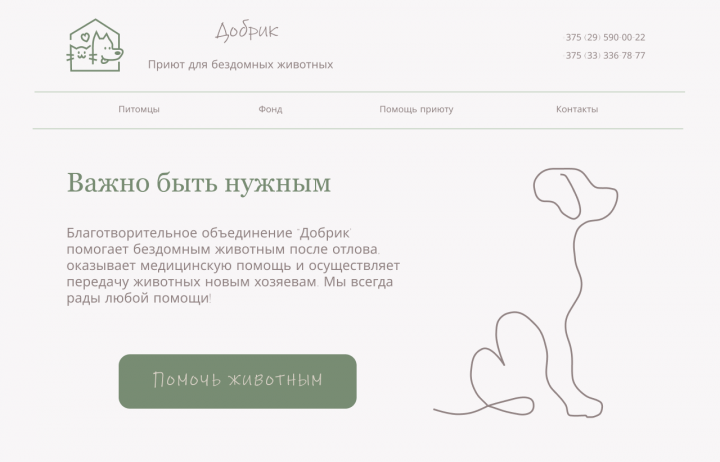 Страница для приюта