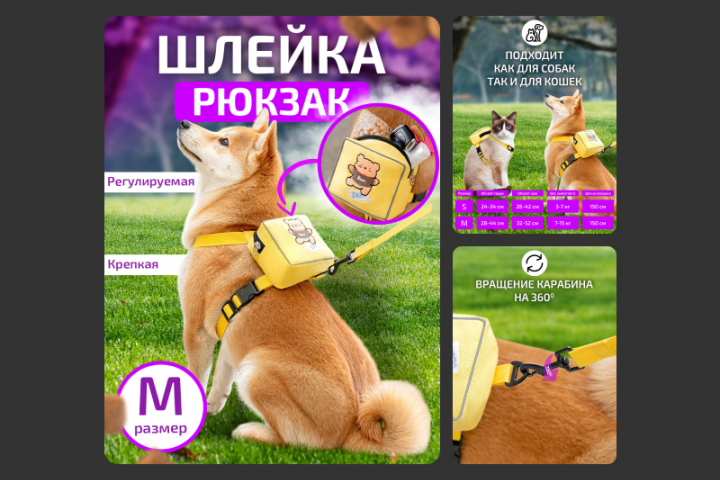 Карточка для шлейки