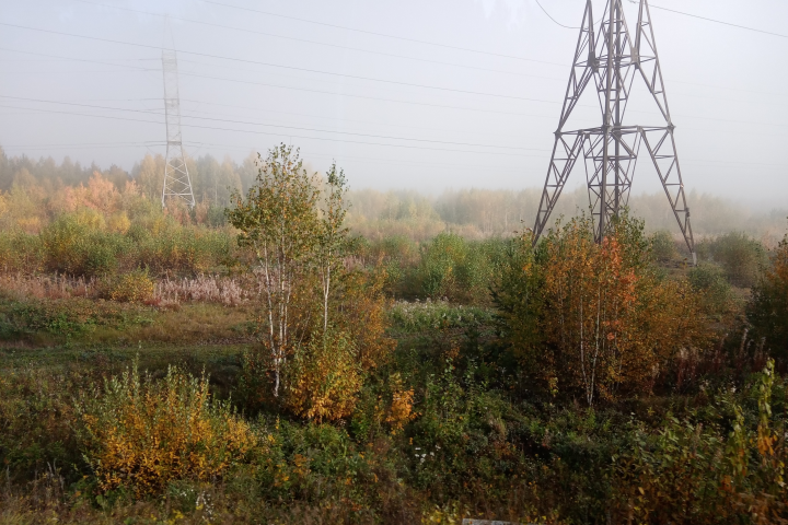 Очарование осени