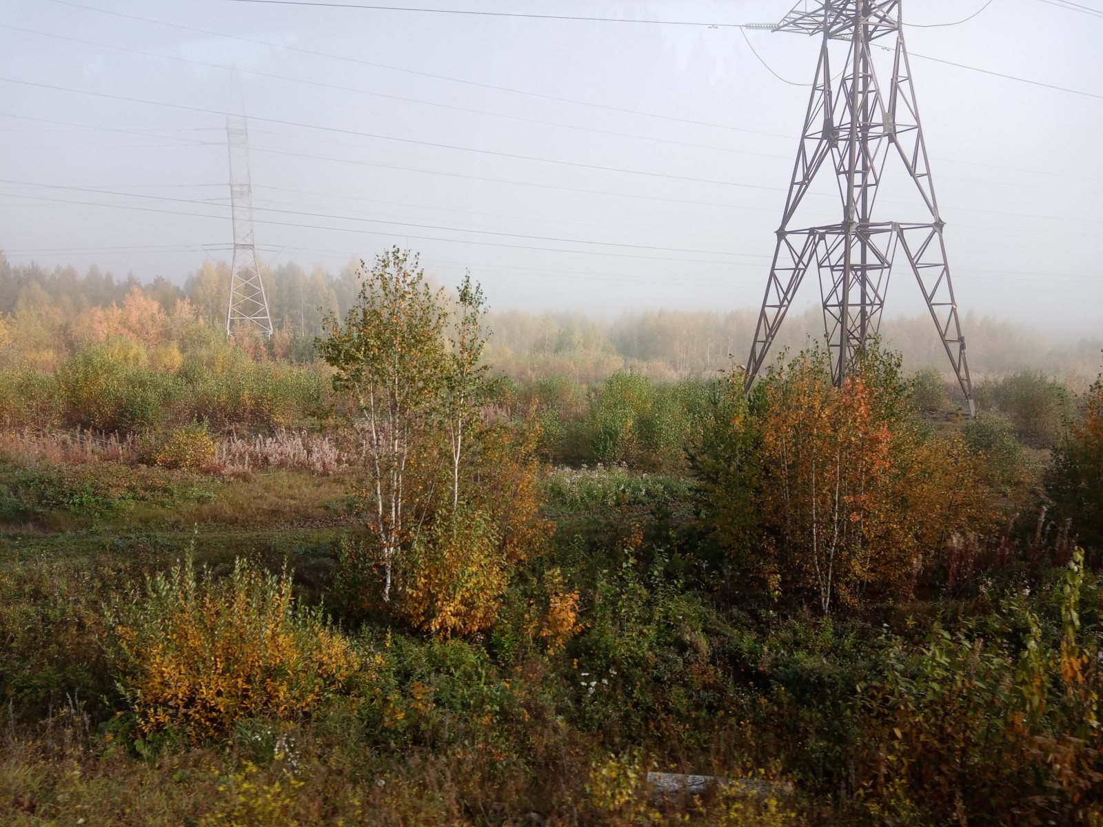 pic4576211.jpg