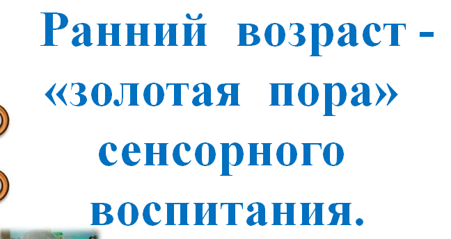 Развитие сенсорных способностей детей раннего возраста
