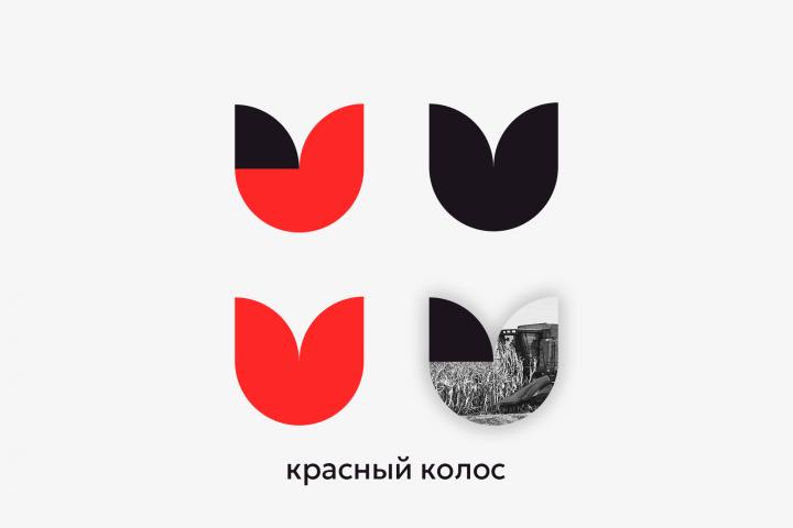 Логотип для агрофирмы "Красный колос"