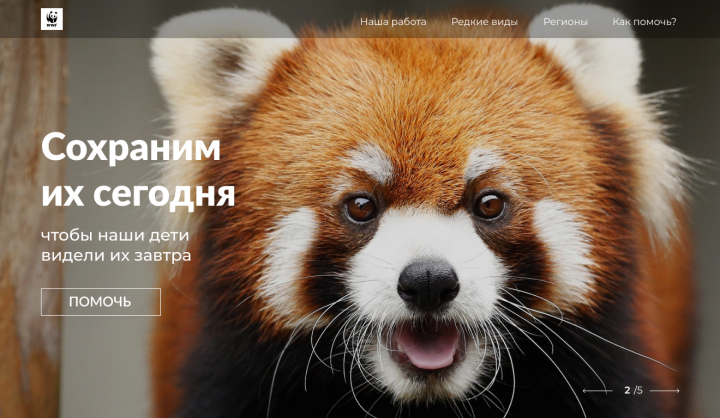 Концепт WWF