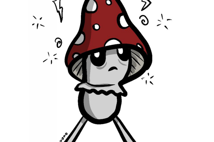 Грибы пошли