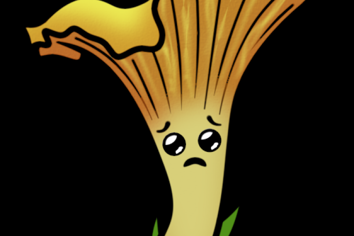 Стикеры для мессенджеров