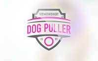 DP