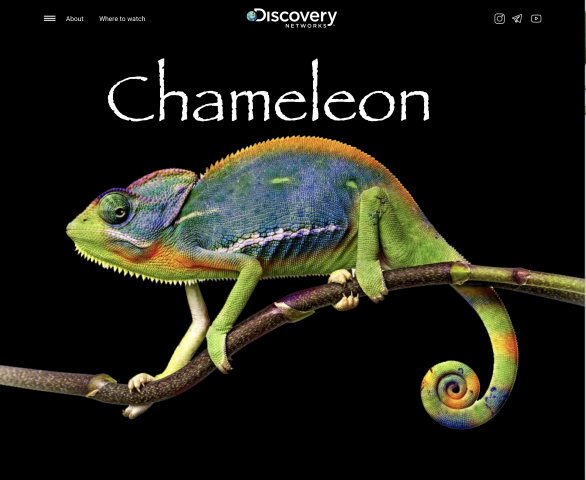 Chameleon
