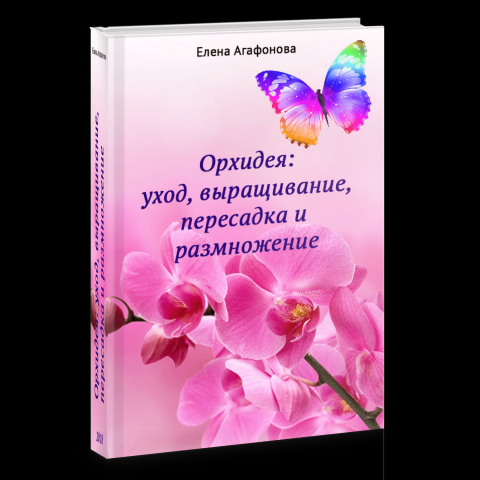 Полиграфия