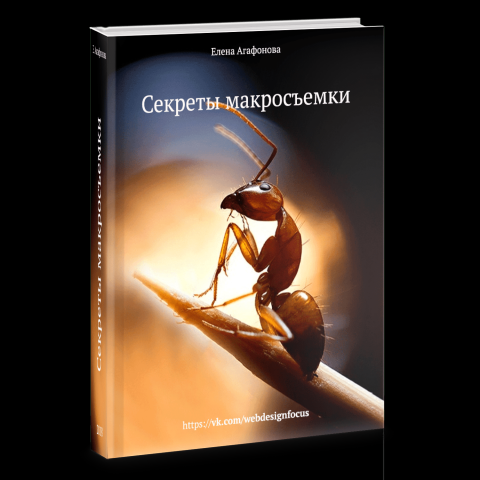 Полиграфия