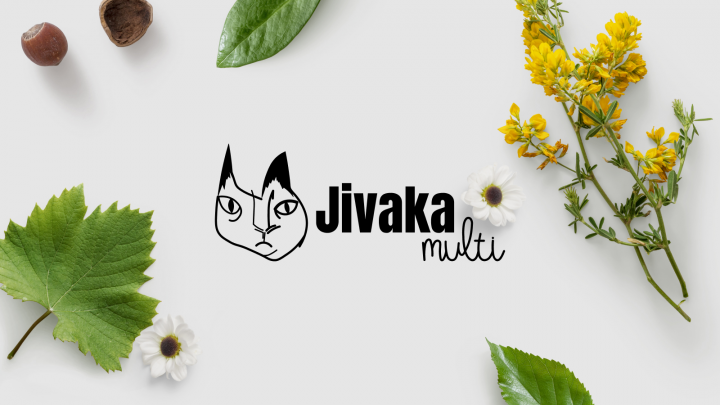 Логотип для мультибренда Jivaka