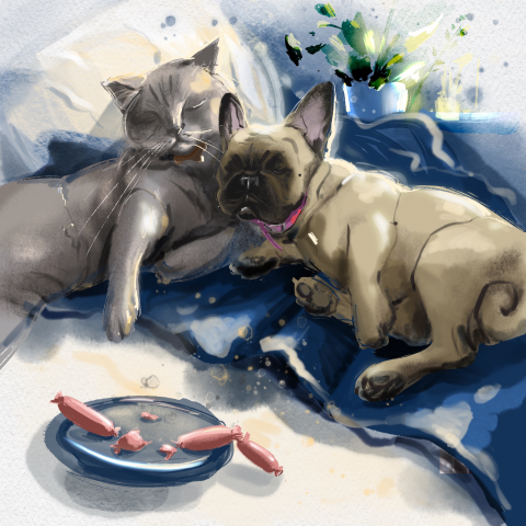 Серия иллюстраций про домашних животных