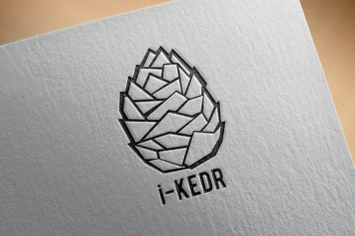 логотип I-kedr