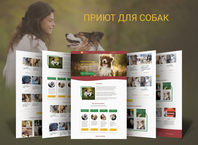 Сайт  приюта для собак