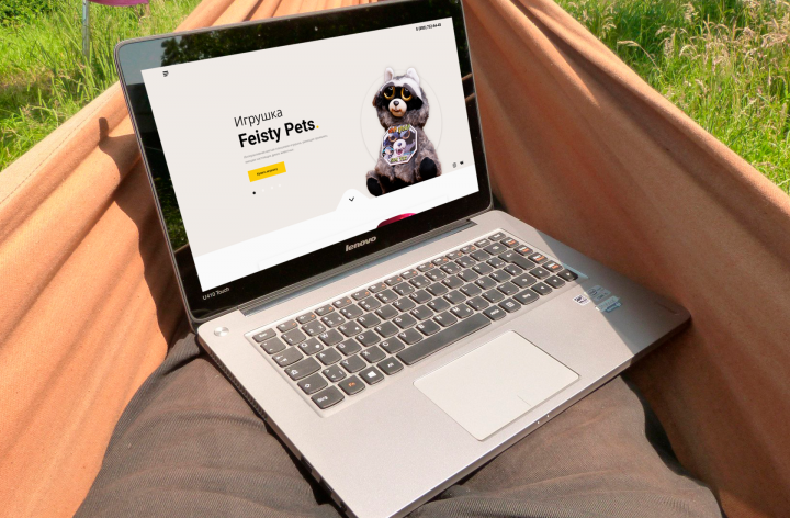 Landing Page для Feisty Pets