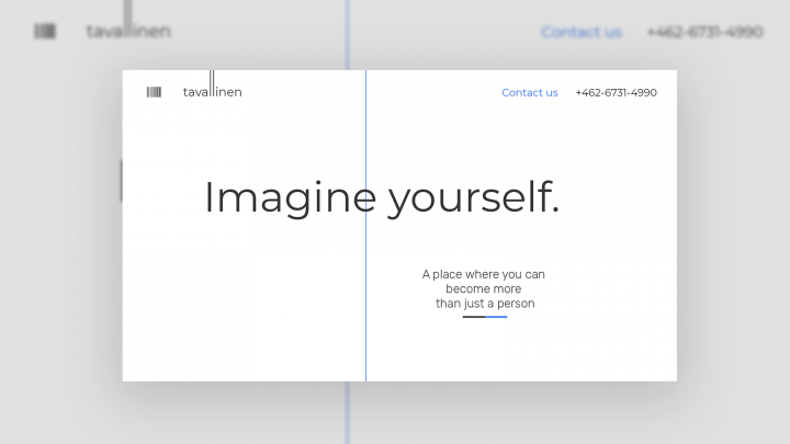 Landing Page Tavallinen