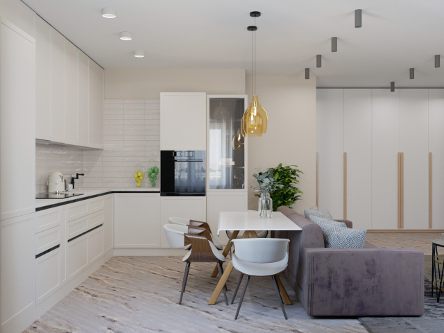 Кухня-студия 26 кв.м.